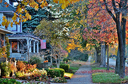 Autumn colors line a Smithville street