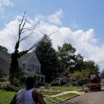 Tree expert performing branch & tree trimming in Ocean County