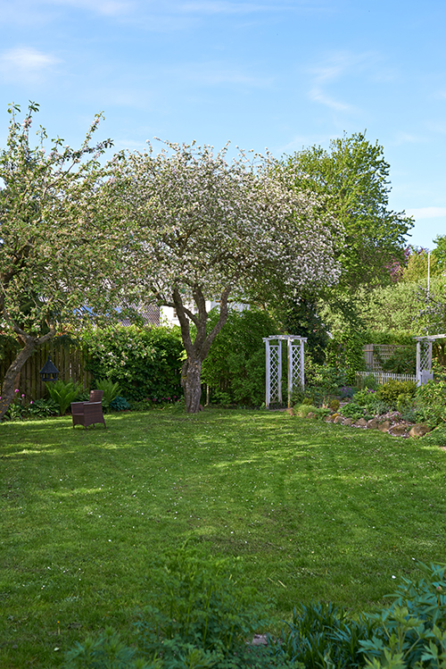 Mature landscape cared for by Monmouth County tree service professionals at Ben Bivins Tree Experts