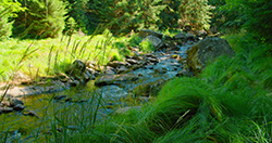 River running through a lush green landscape showing benefits of natural irrigation