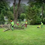 Ocean County tree removal clean-up by crew
