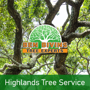 Bendy trees with text that says Highlands Tree Service