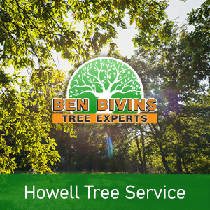 Green trees with text that says Howell Tree Service