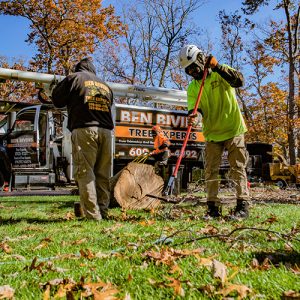 Clean-up begins after tree removal in Freehold