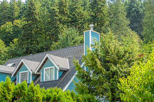 Tree removal in Monmouth County is tree care-Roof of blue house sticking up through healthy crop of trees