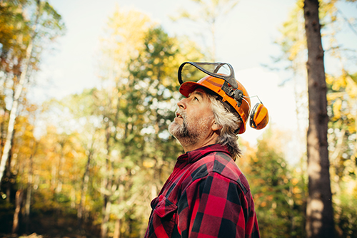 Tree service in Smithville in fall