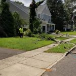 Branches on ground from a tree trimming in Ocean County