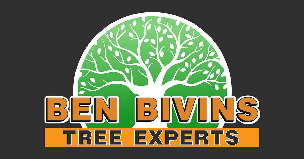 Ocean & Monmouth County Tree Service - Ben Bivins Tree Experts